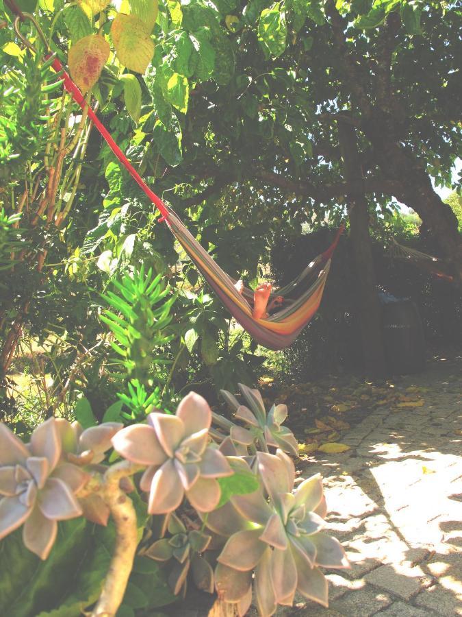 Casa Das Lapas Soajo Eksteriør bilde